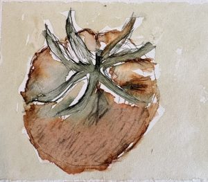 Stefanie Kunze, Heilpraktikerin, Bewegungstherapeutin. Das Retreat en Camargue mit Malunterricht ab 20. bis 26.September 2027. Aquarelle